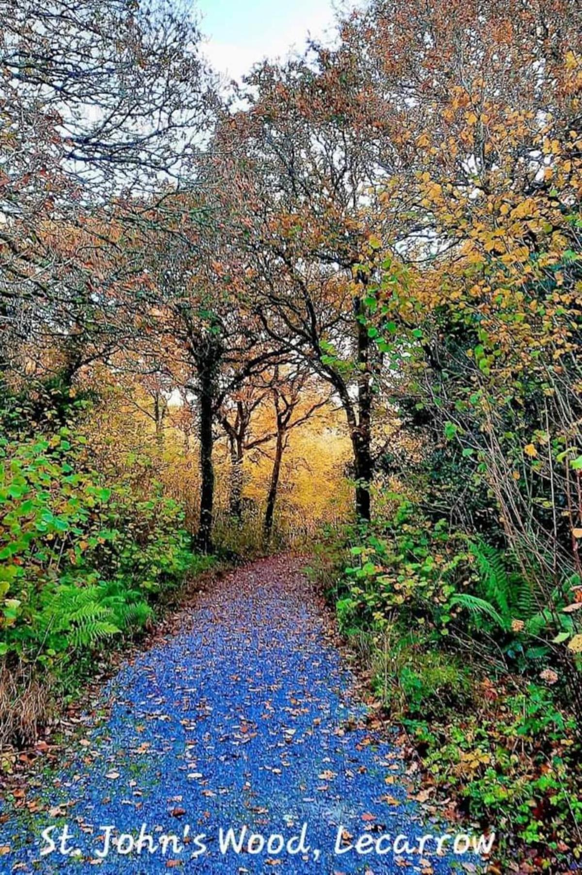 St John'S B And B Roscommon Dış mekan fotoğraf